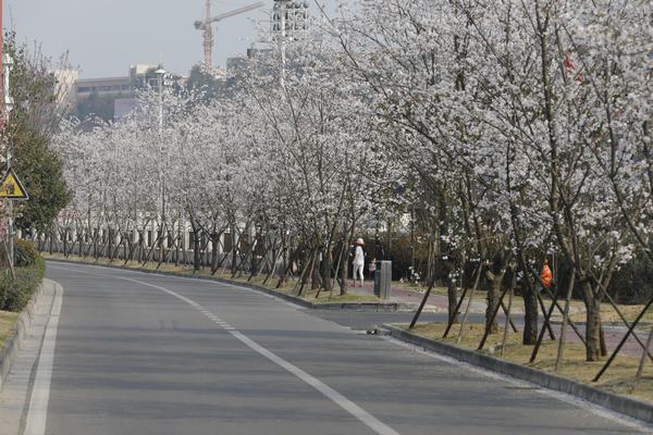 四川眉山职业技术学院